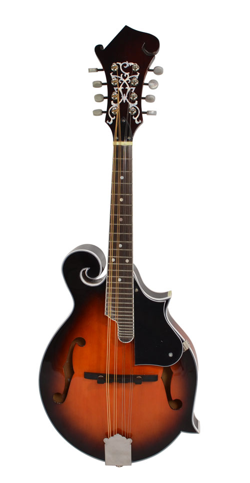 Bryce Mandolin With F Style Sound Hole Mandolins