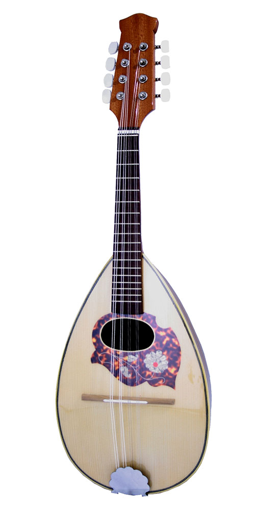 Traditional Naples Mandolin Mandolins