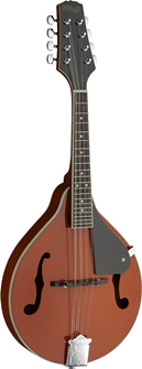 Bluegrass Mandolin with Basswood Top 