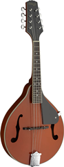 Bluegrass Mandolin with Basswood Top 