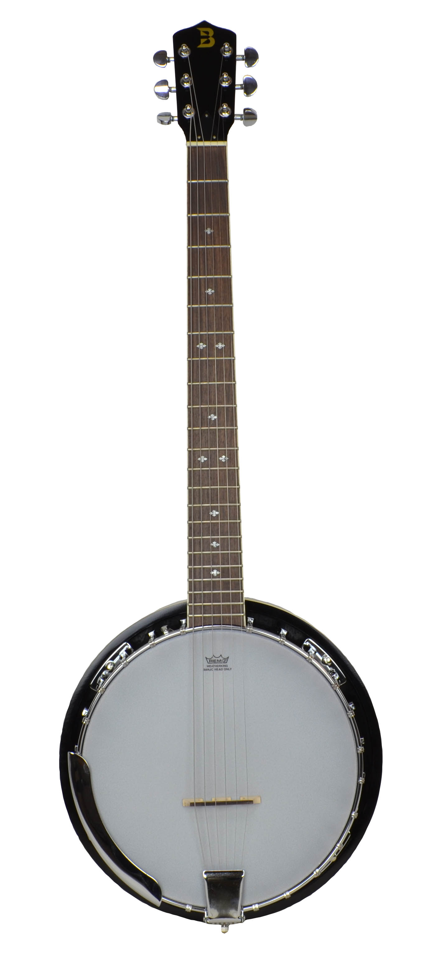 six stringed banjo