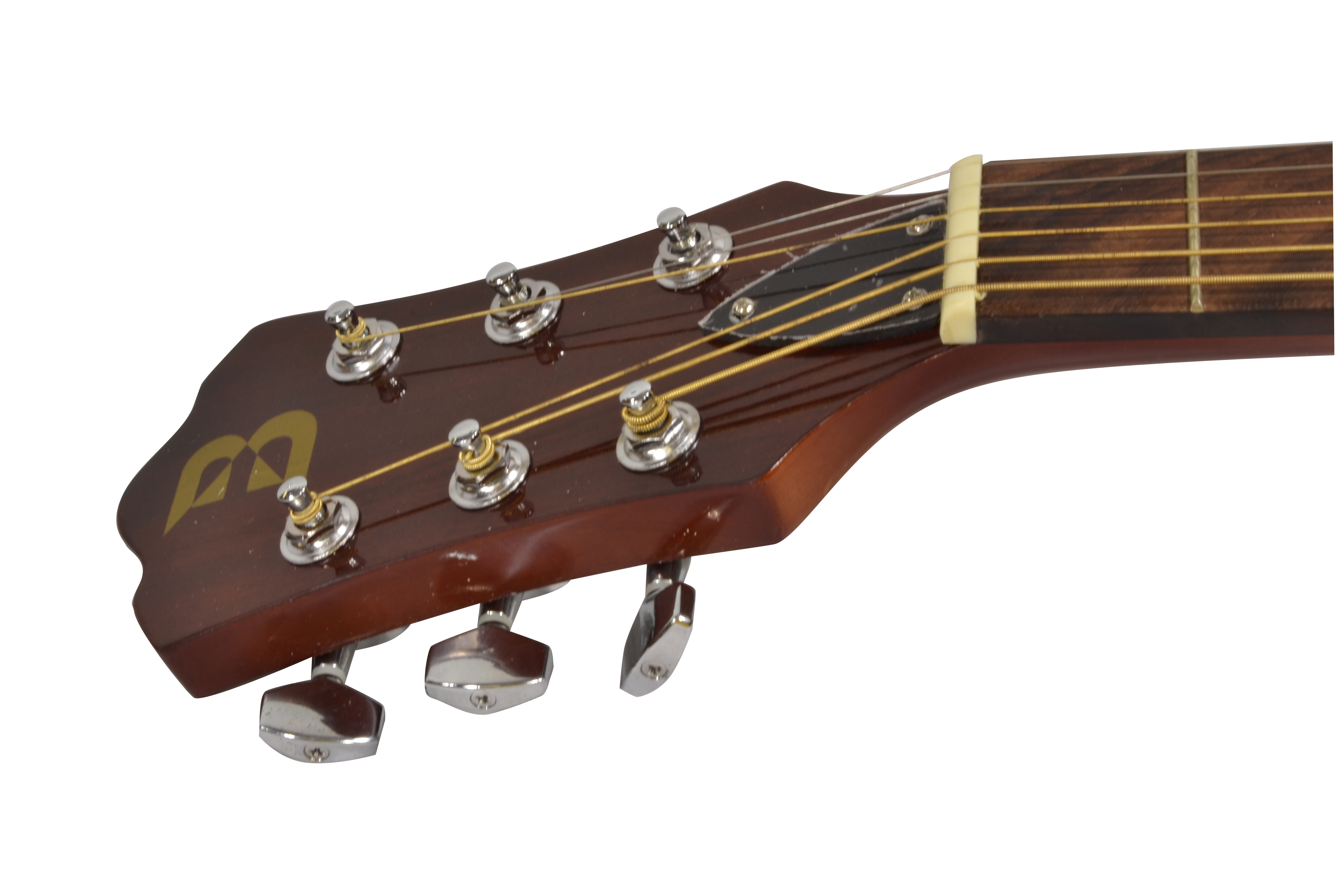 Bryce Full Size Resonator Guitar with High Gloss Finish & Spider Style