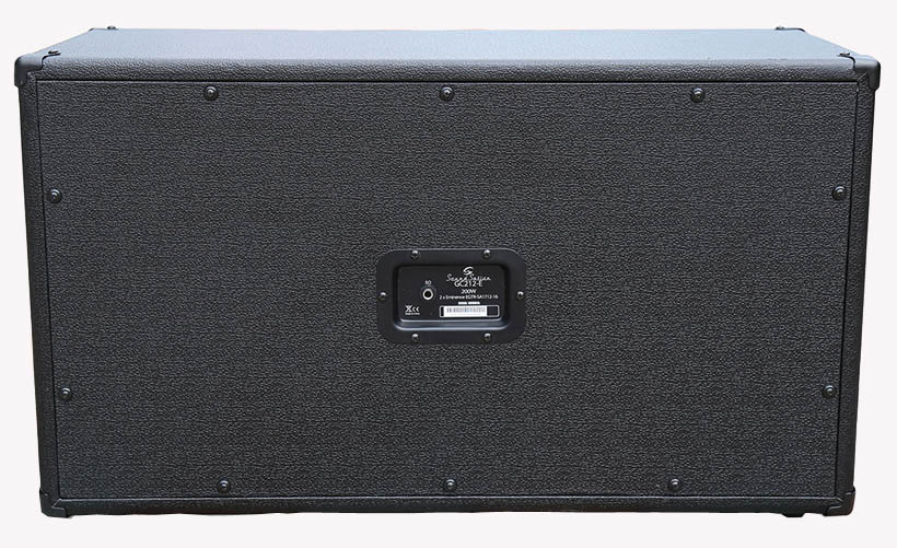 Guitar with Eminence Speaker 200 Watt Guitar Amplifiers