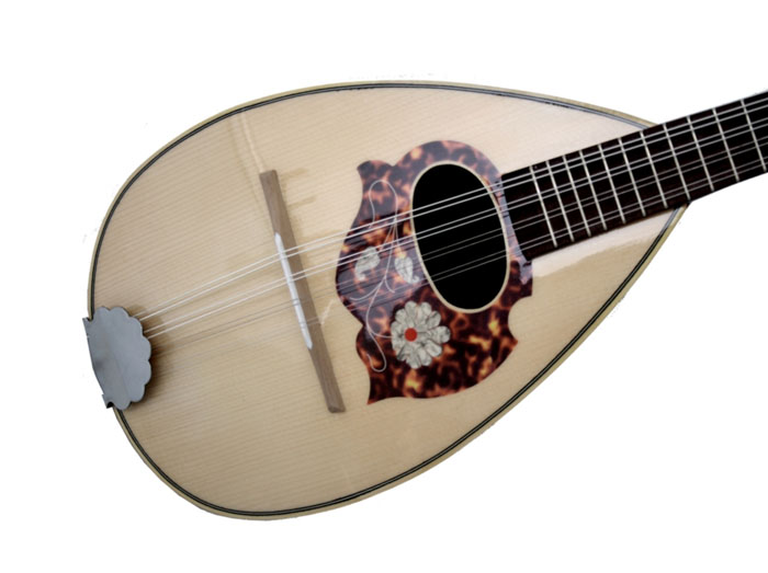 Traditional Naples Mandolin Mandolins