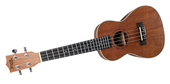 Concert Ukulele Solid Hardwood Natural Finish