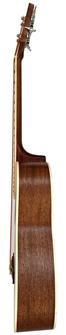 Chord Electro-Acoustic Short-Scale 4 Strin 