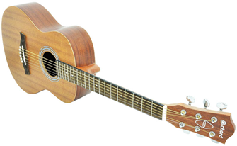 Compact Western Styled Acoustic Guitar 