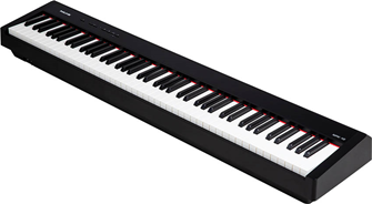 NUX Portable Digital Piano 