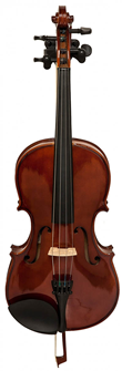 Wall Mount Holder for Violin 