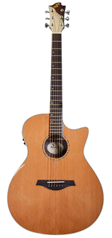 Sevinia Electro-Acoustic Guitar with Solid 