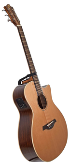 Sevinia Electro-Acoustic Guitar with Solid 