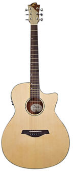 Sevinia Electro-Acoustic Guitar with Solid 