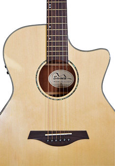 Sevinia Electro-Acoustic Guitar with Solid 