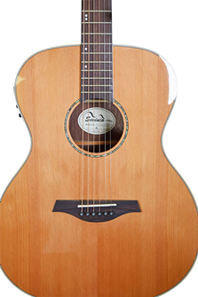 Sevinia Electro-Acoustic Guitar with Solid 