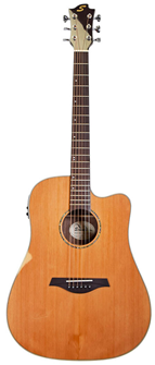 Sevinia Electro-Acoustic Guitar with Solid 