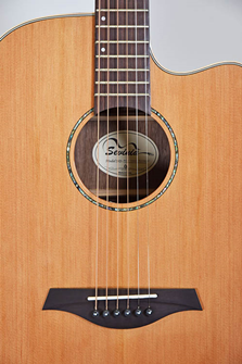 Sevinia Electro-Acoustic Guitar with Solid 