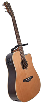 Sevinia Electro-Acoustic Guitar with Solid 