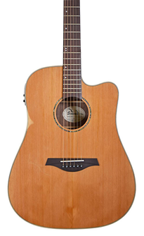 Sevinia Electro-Acoustic Guitar with Solid 