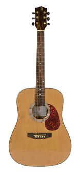 Bryce BFG-088S Acoustic Guitar 