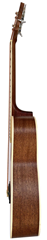 Chord Electro-Acoustic Short-Scale 4 Strin 