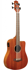 23 Acoustic-Electric Micro Bass with  