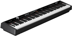 NUX Professional Digital Piano 