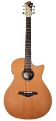 Sevinia Electro-Acoustic Guitar with Solid 