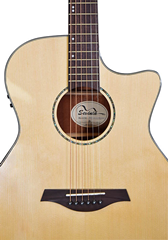 Sevinia Electro-Acoustic Guitar with Solid 