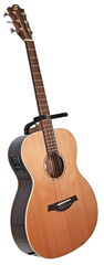 Sevinia Electro-Acoustic Guitar with Solid 