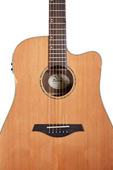 Sevinia Electro-Acoustic Guitar with Solid 