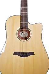 Sevinia Electro-Acoustic Guitar with Solid 